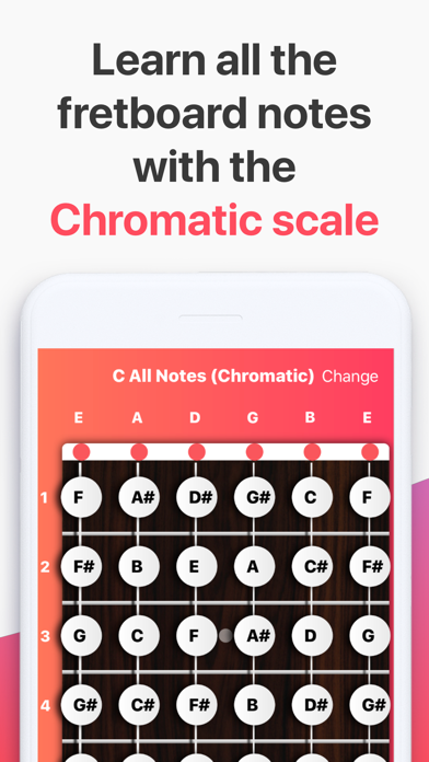 Lead Guitar — Chords & Scales screenshot 4