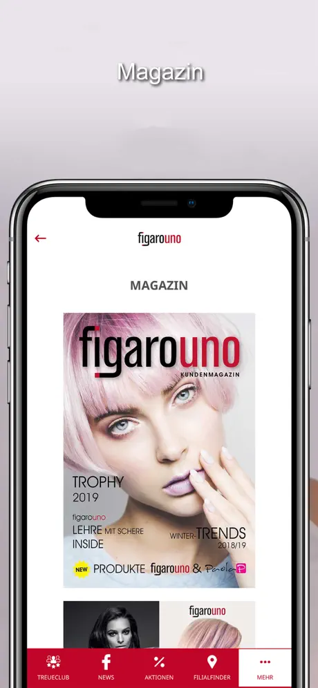 figarouno