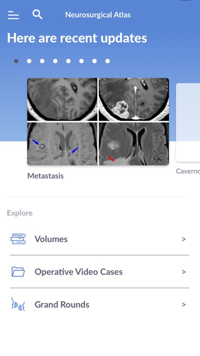 Neurosurgical Atlas Screenshot