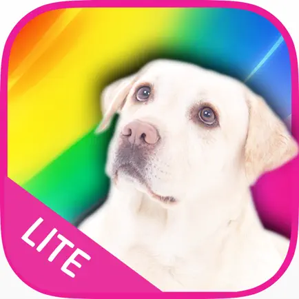 Color Zoo Lite Cheats