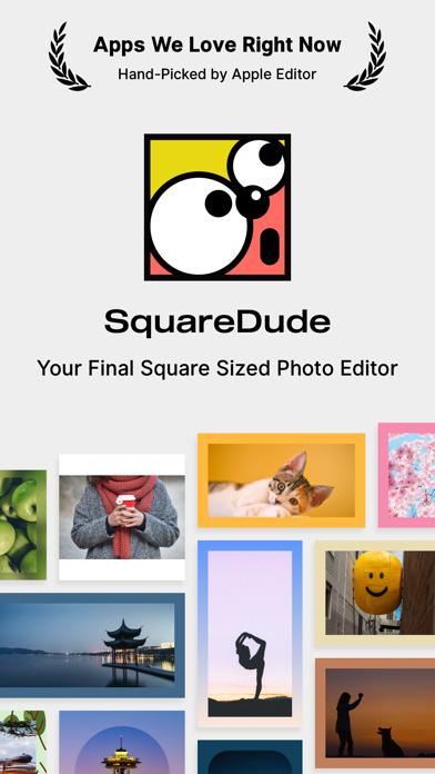 Screenshot #1 pour SquareDude - Square Fit Photo