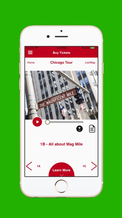 Chicago Trolley Tour