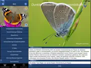 schmetterling id - tagfalter iPad Captures Décran 4