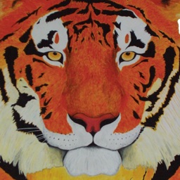 Bennett Middle School