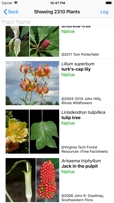 Screenshot #2 pour Maryland Wildflowers