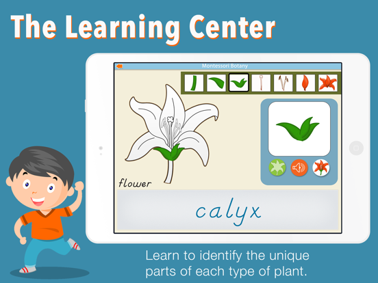 Screenshot #5 pour Learn Botany - Parts of Plants