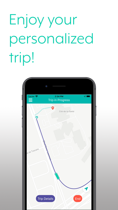 Blaise Transit Screenshot