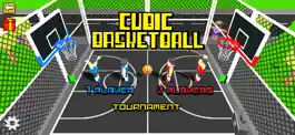 Game screenshot Cubic Basketball 2 3 4 Players mod apk