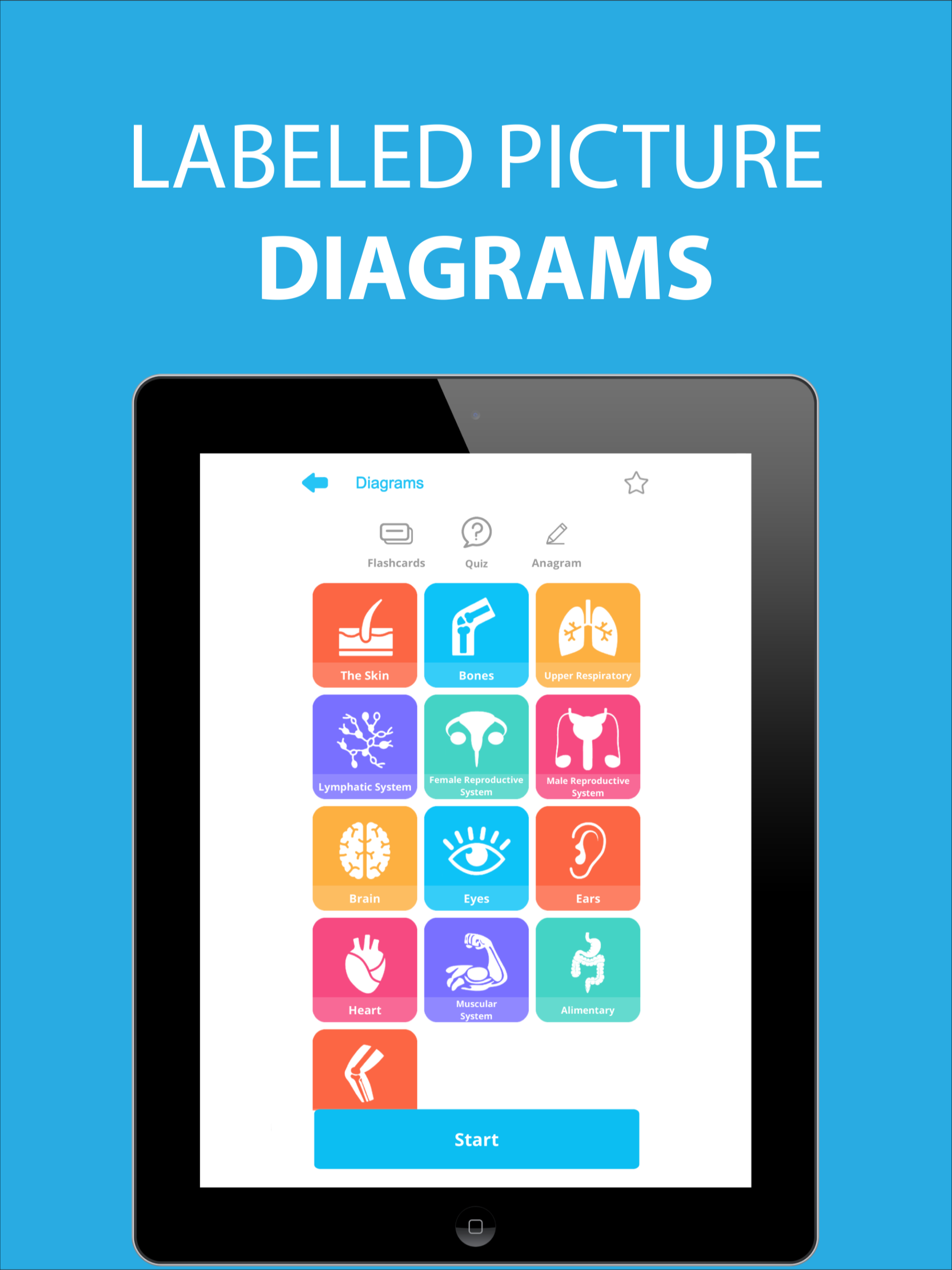Medical Terminology Learning screenshot 17