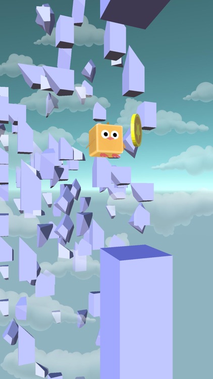 Bird Run - Flying IN The Sky screenshot-6
