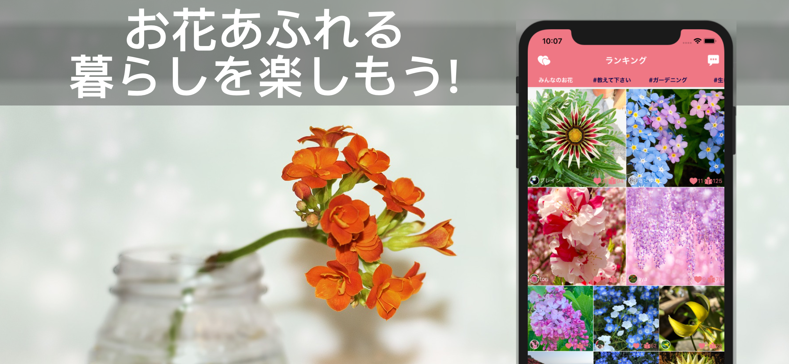 花・植物好きが集まる写真共有・図鑑アプリ, FLOWERY
