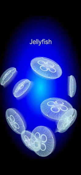 Game screenshot Jellyfish Simulator mod apk
