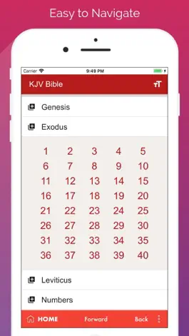 Game screenshot KJV King james bible english apk