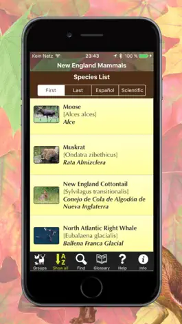 Game screenshot New England Mammals apk