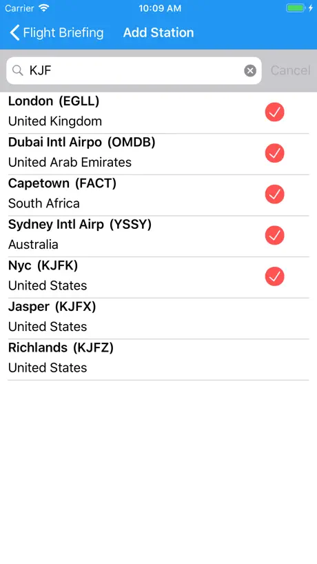 Flight Briefing