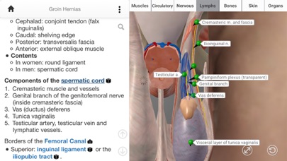 Surgery Basics screenshot 3