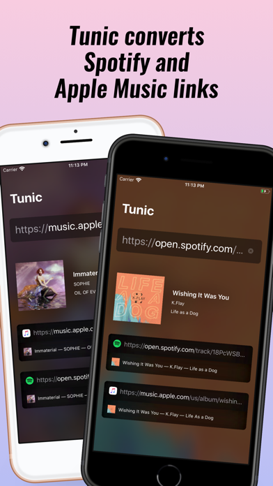 Tunic: Convert music links iPhone screenshot 1 - Music app