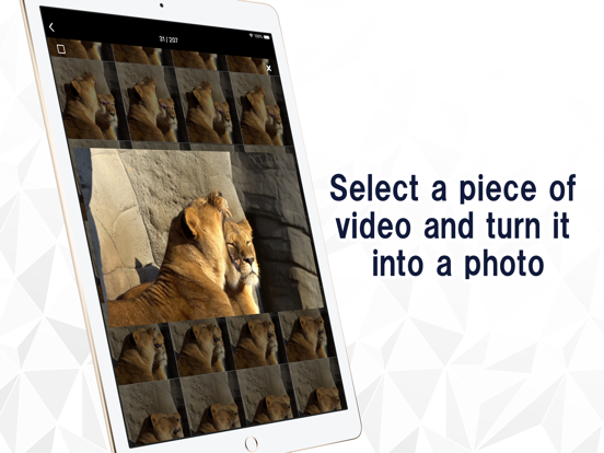Screenshot #5 pour Video To Photo -Video to image