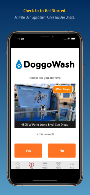 DoggoWash(圖2)-速報App