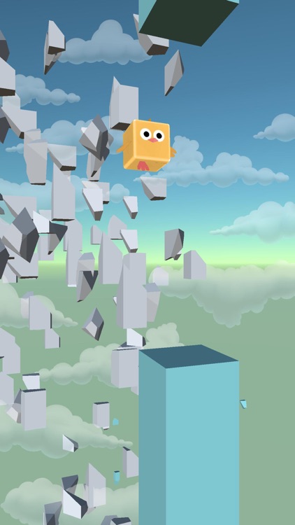 Bird Run - Flying IN The Sky screenshot-3