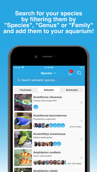Aquarium Vitae Screenshot