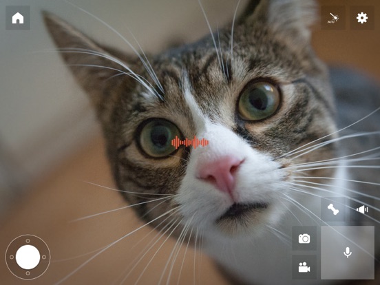 Screenshot #6 pour Pawbo Life