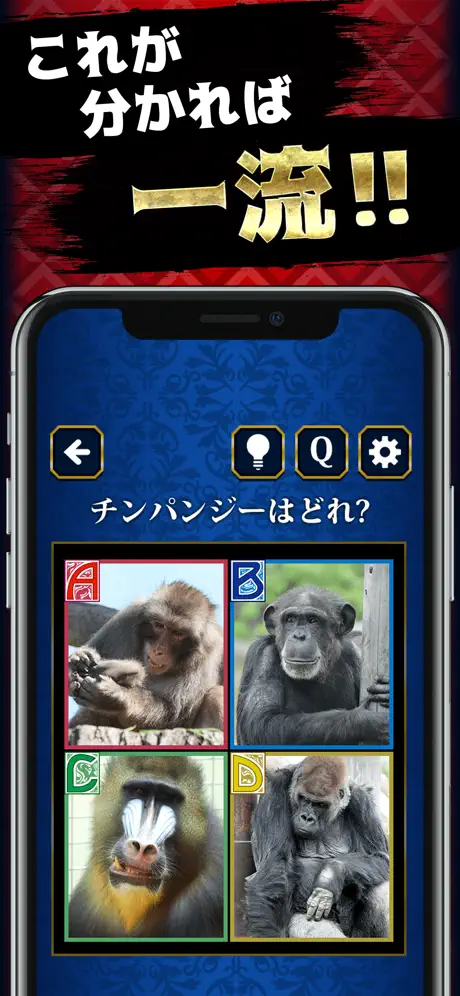 一般人㊙格付けチェック3