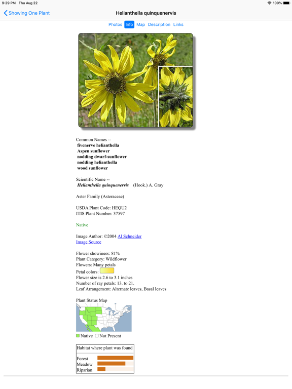 Screenshot #6 pour Yellowstone Wildflowers