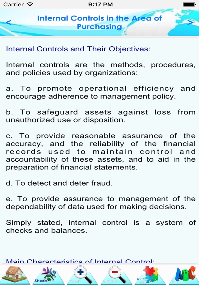 Auditing  Procurement Process screenshot 4