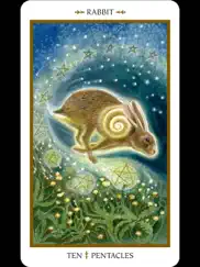 animals divine tarot айпад изображения 2