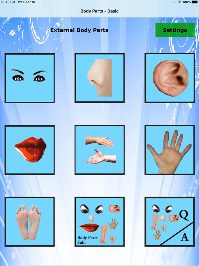 ‎Body Parts - Basic Screenshot