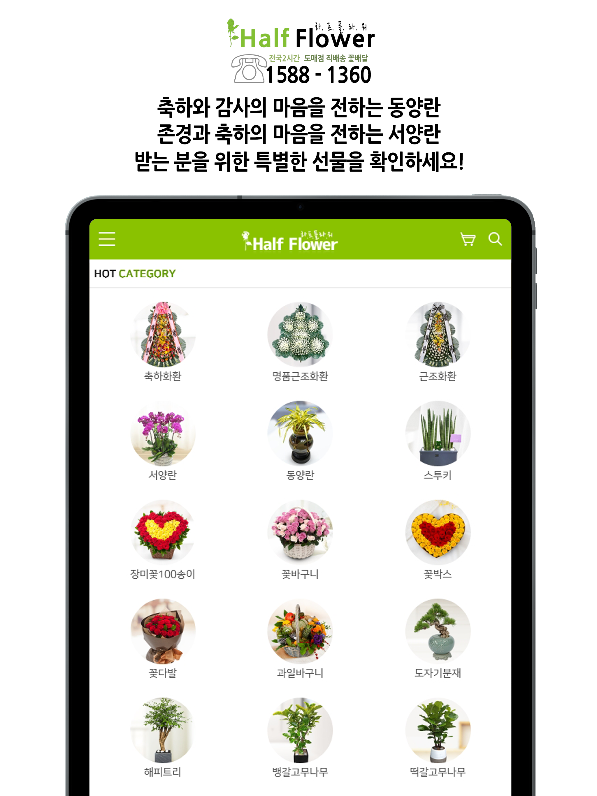 하프플라워