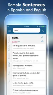 spanish plus dict & translator iphone screenshot 3