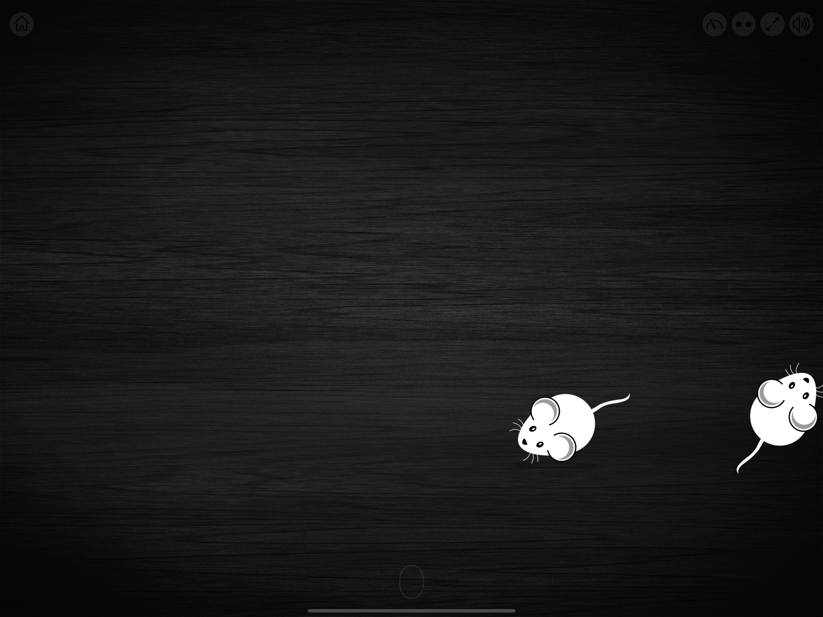 Game for cats! screenshot 8