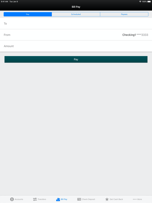 Reliance State Bank Mobile iPad screenshot 5 - Finance app