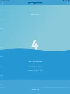 Pluviometer - Rain gauge iPad image 1