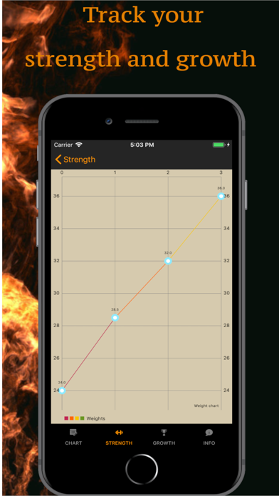 Bigger Men - Gym workouts plan Screenshot