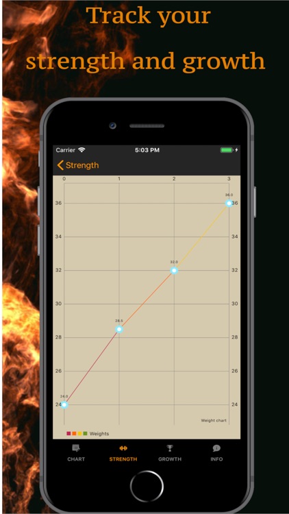 Bigger Men - Gym workouts plan screenshot-5