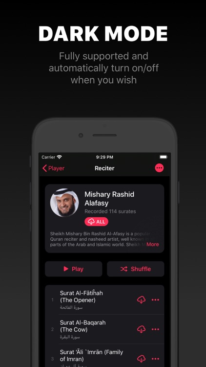 Quran Pro · قرآن screenshot-3