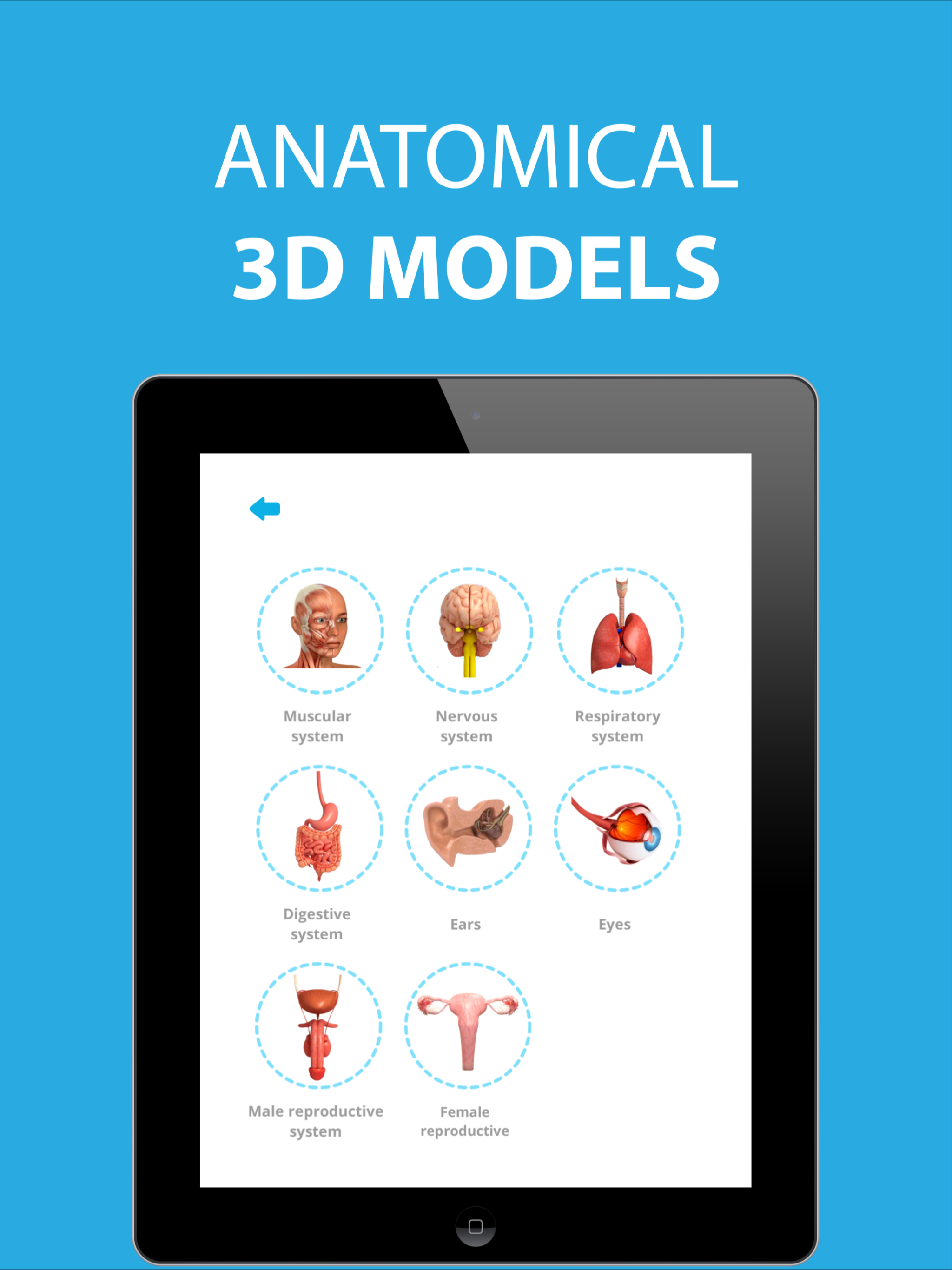 Medical Terminology Learning screenshot 19