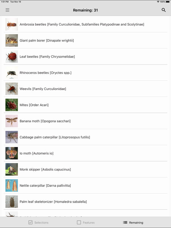 Screenshot #6 pour Palm Pests Key