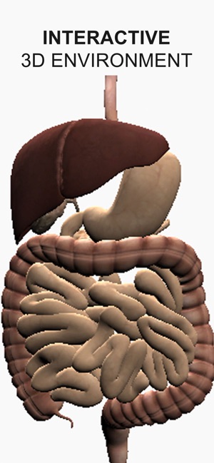 Explain 3D: Human body(圖2)-速報App
