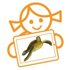 Top 50 Education Apps Like Rolf AR Life of the Sea Turtle - Best Alternatives