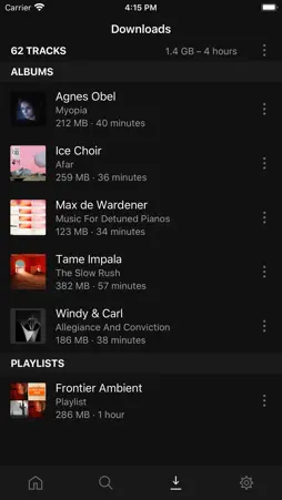 Plexamp screenshot 9