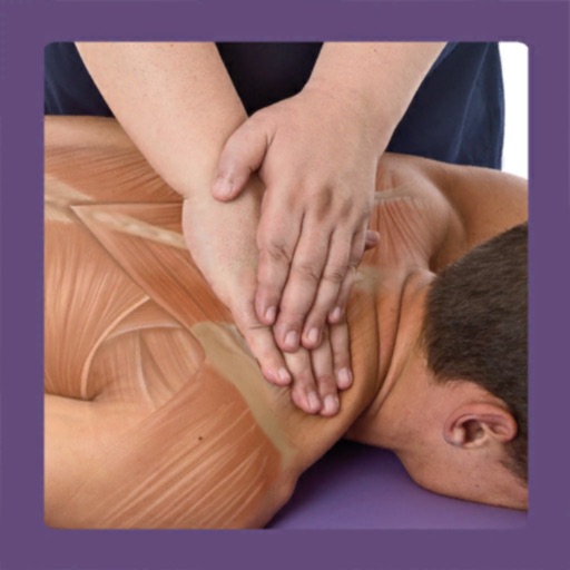 Anatomy & Sports Massage AR icon