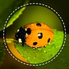 Top 38 Education Apps Like Insect identifier by photo - Best Alternatives