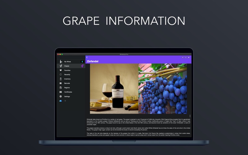 Скриншот из Winebook Pro