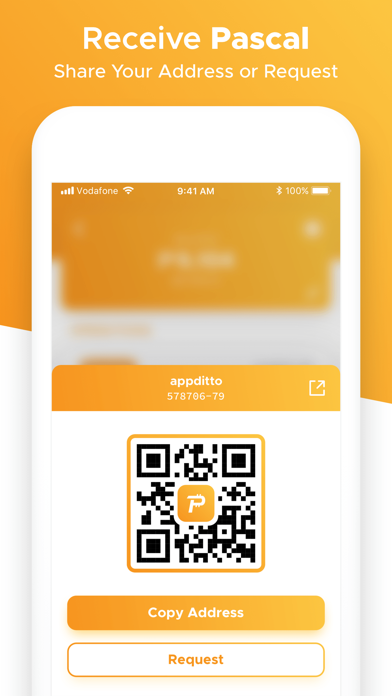 Blaise - Pascal Wallet Screenshot