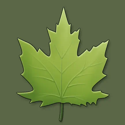 Arbres et arbustes en poche Читы