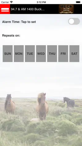 Game screenshot 94.7 & AM 1400 Buck FM hack